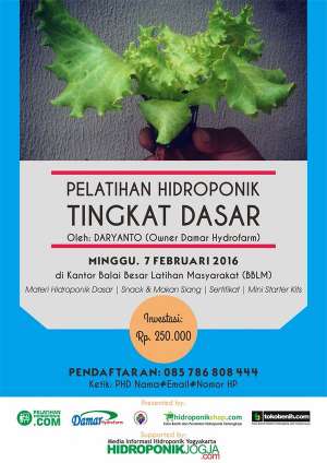  Pelatihan Hidroponik Dasar di Kantor BBLM