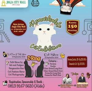 Cat Exhibition