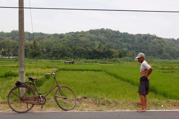 Desa Wisata Wukirsari