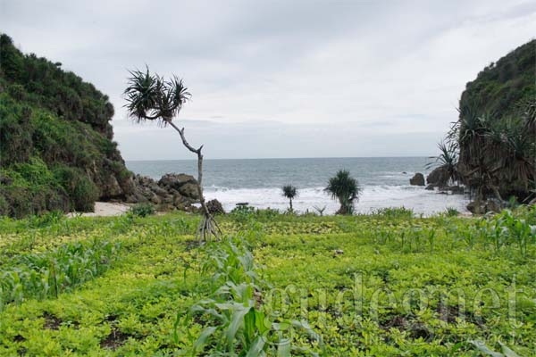 Pantai Kayu Arum