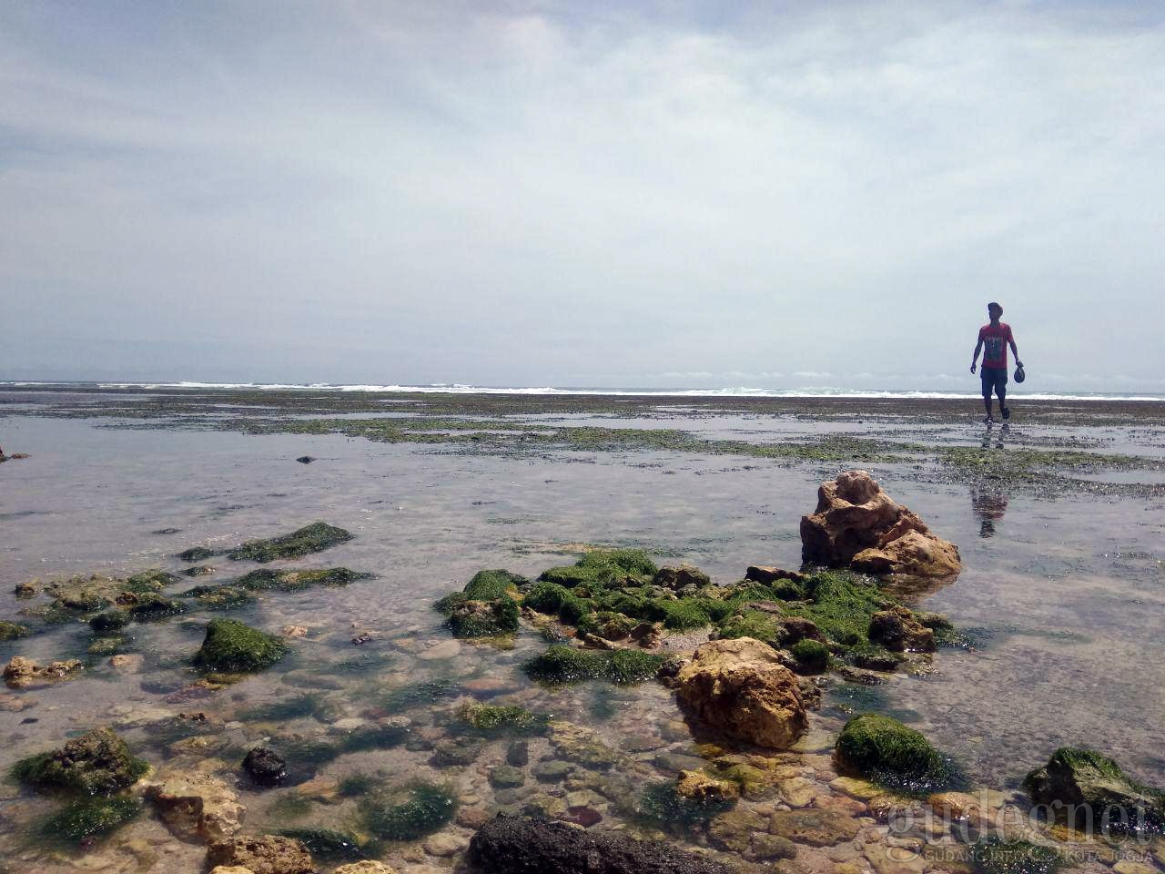 Contoh Teks Laporan Hasil Observasi Tentang Pantai Kuta