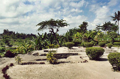 Candi Kadisoka Yogyakarta