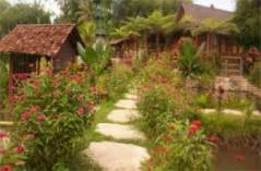 Desa Wisata Kembang Arum Yogyakarta