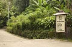 Desa Wisata Pentingsari Yogyakarta