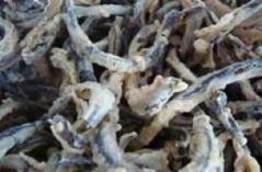 Keripik Belut