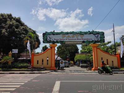 Pasar Satwa dan Tanaman Hias Yogyakarta (PASTY)