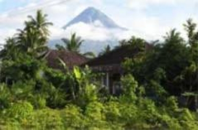 Desa Wisata Jamur Yogyakarta