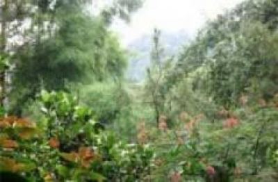 Desa Wisata Turgo Yogyakarta