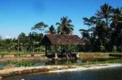 Desa Wisata Garongan Yogyakarta