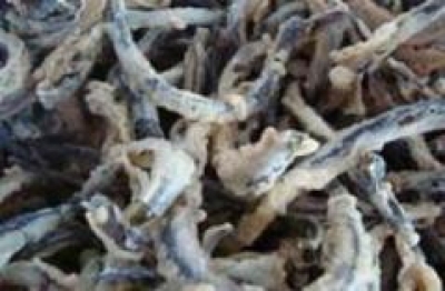 Keripik Belut