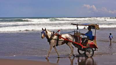 Dokar Pantai Parangtritis