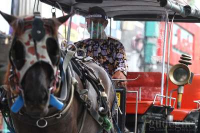 Kusir Andong Wisata Maliooro