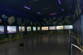 Akuarium di Gembira Loka Zoo Yogyakarta