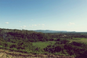 Pemandangan dari atas bukit di Candi Barong