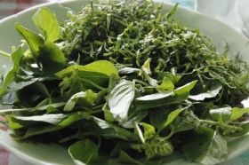 Kemangi