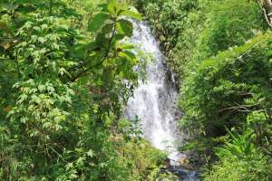 Curug kecil sebelum menuju Curug Sidoharjo