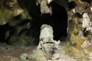 Disebut goa Gajah karena ada batu yang mirip gajah