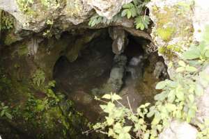 Batu mirip gajah jika dilihat dari atas