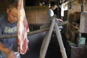 Daging segar menjamin rasa masakan tetap prima