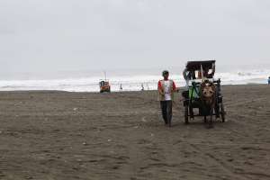 Andong sebagai sarana jalan-jalan menikmati keindahan pantai 