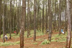 Puncak Becici cocok buat liburan bersama sahabat dan keluarga