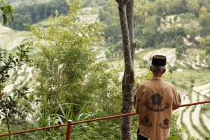 Seorang penduduk desa menikmati hamparan sawah