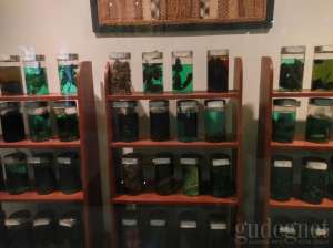 Museum Gembira Loka Yogyakarta