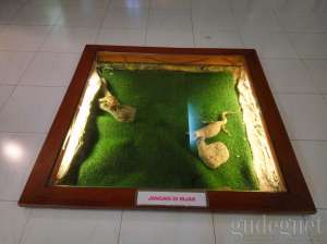 Museum Gembira Loka Yogyakarta