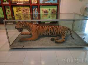 Museum Gembira Loka Yogyakarta