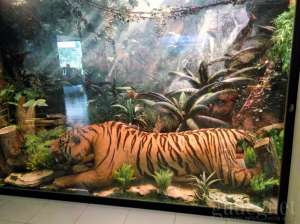 Museum Gembira Loka Yogyakarta
