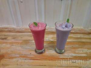 cats and coffee Jogja