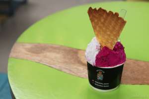 Arlechinno Gelato Jogja