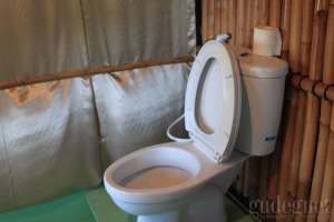Paddy D'Sawah Guest House