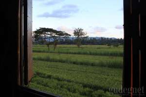 Paddy D'Sawah Guest House