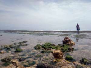 Pantai Sundak