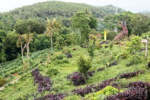 Taman Wisata Gunung Mungker