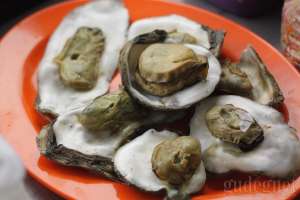 Kerang Klothok Kalibayem