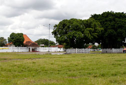Visit Alun - Alun Kidul Yogyakarta Visit Alun - Alun Kidul Yogyakarta