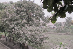 Kualitas Udara Buruk, ISPA Meningkat Kualitas Udara Buruk, ISPA Meningkat