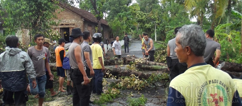 4 Tips Paling Aman Bebas dari Puting Beliung dan Hujan Lebat