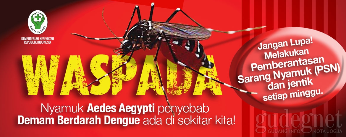 Waspada Dengue Dalam Era JKN oleh dr. FX. Wikan Indrarto
