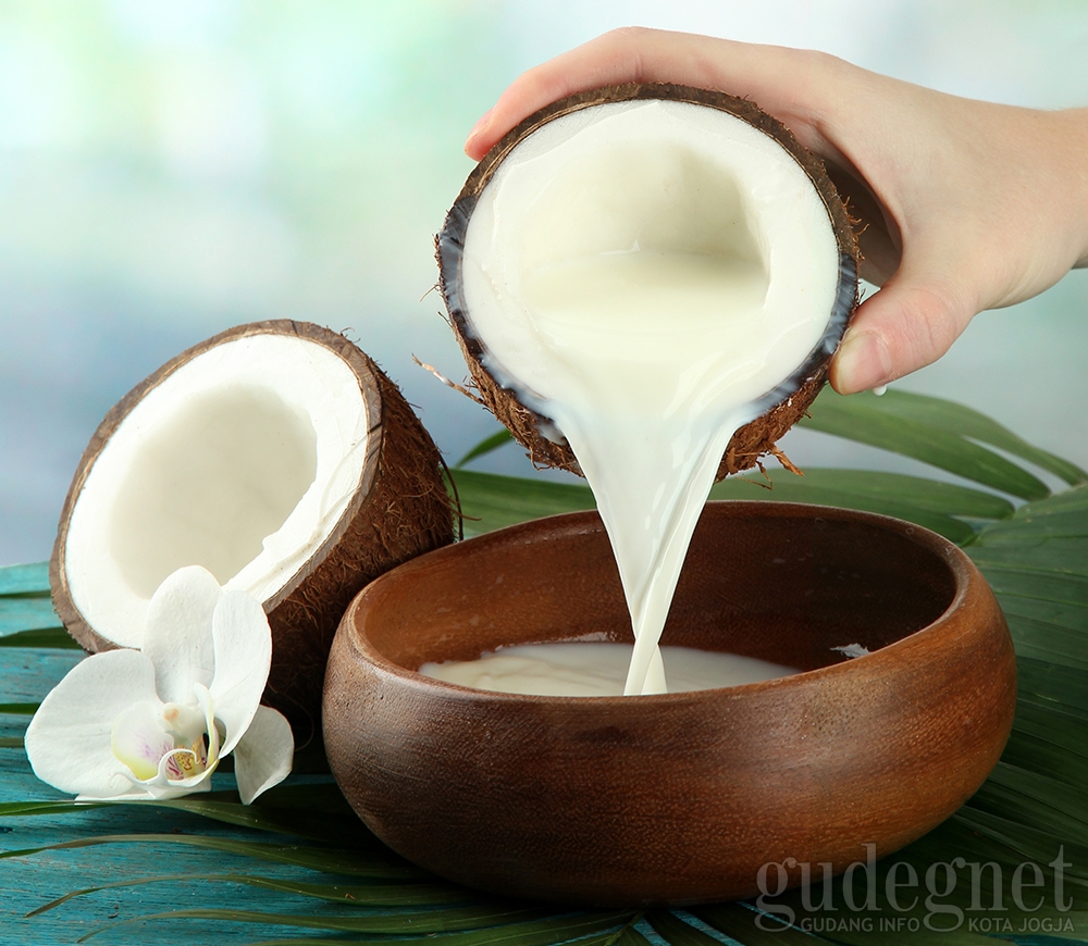 Tips Memasak Santan Agar Tidak Pecah