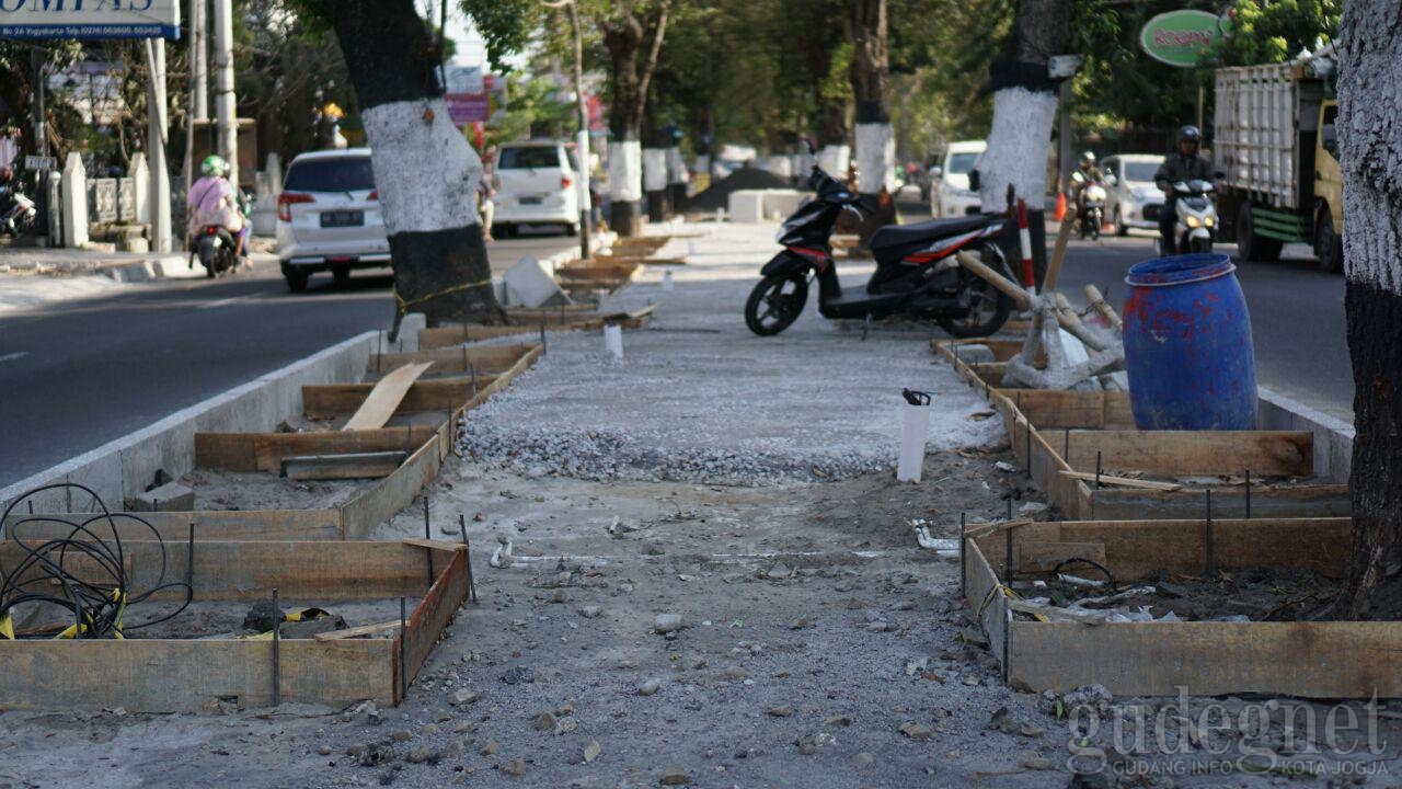 Akar Sudah Rawan, Pohon Tua di Jalan Suroto Ditebang