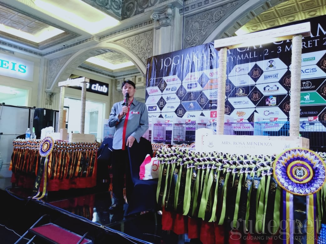 Jogjakarta Cat Championship 2019, Ajang Belajar dan Berinteraksi Pencinta Kucing 