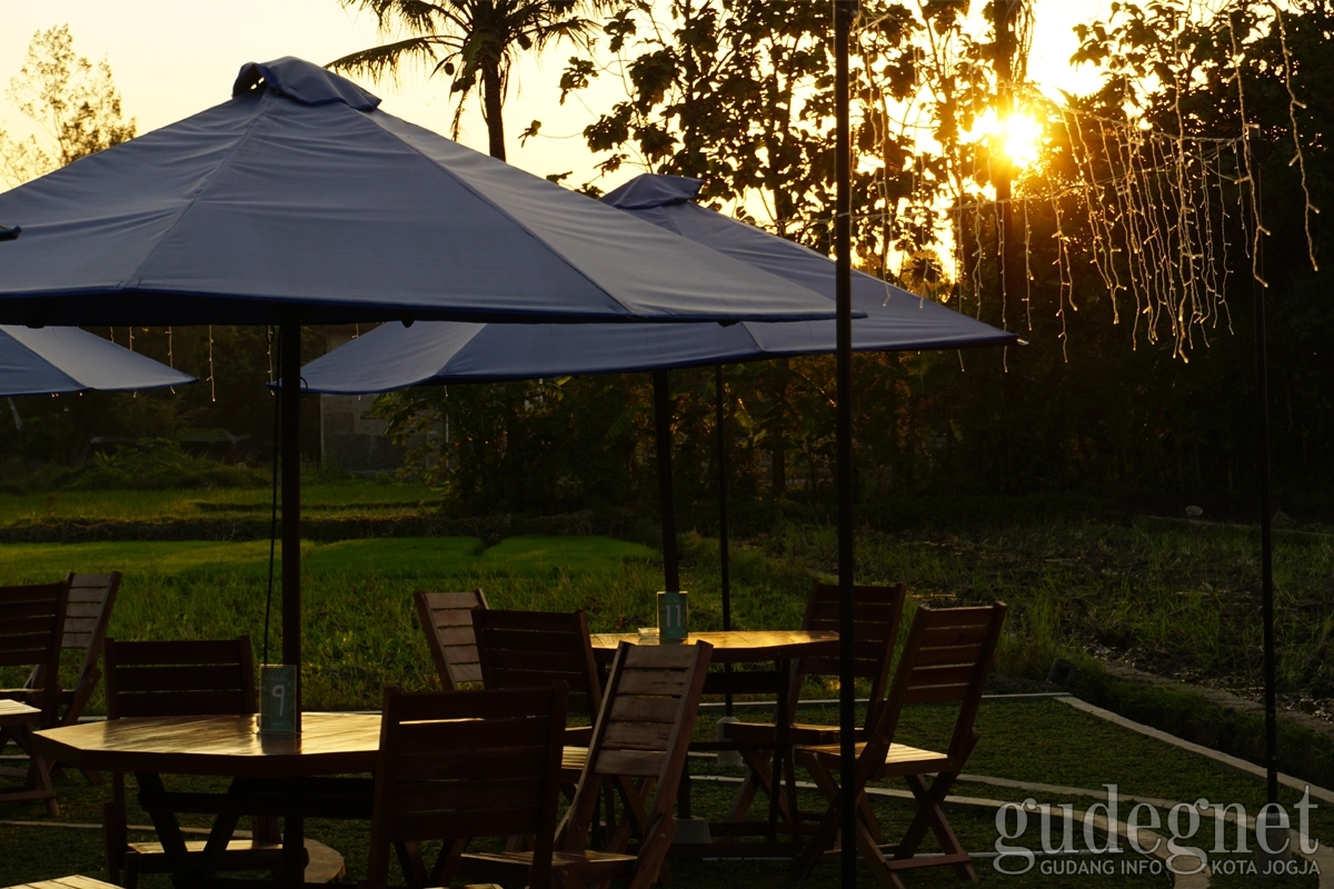 5 Tempat Kulineran Sambil Menikmati Pemandangan Sawah di Yogyakarta