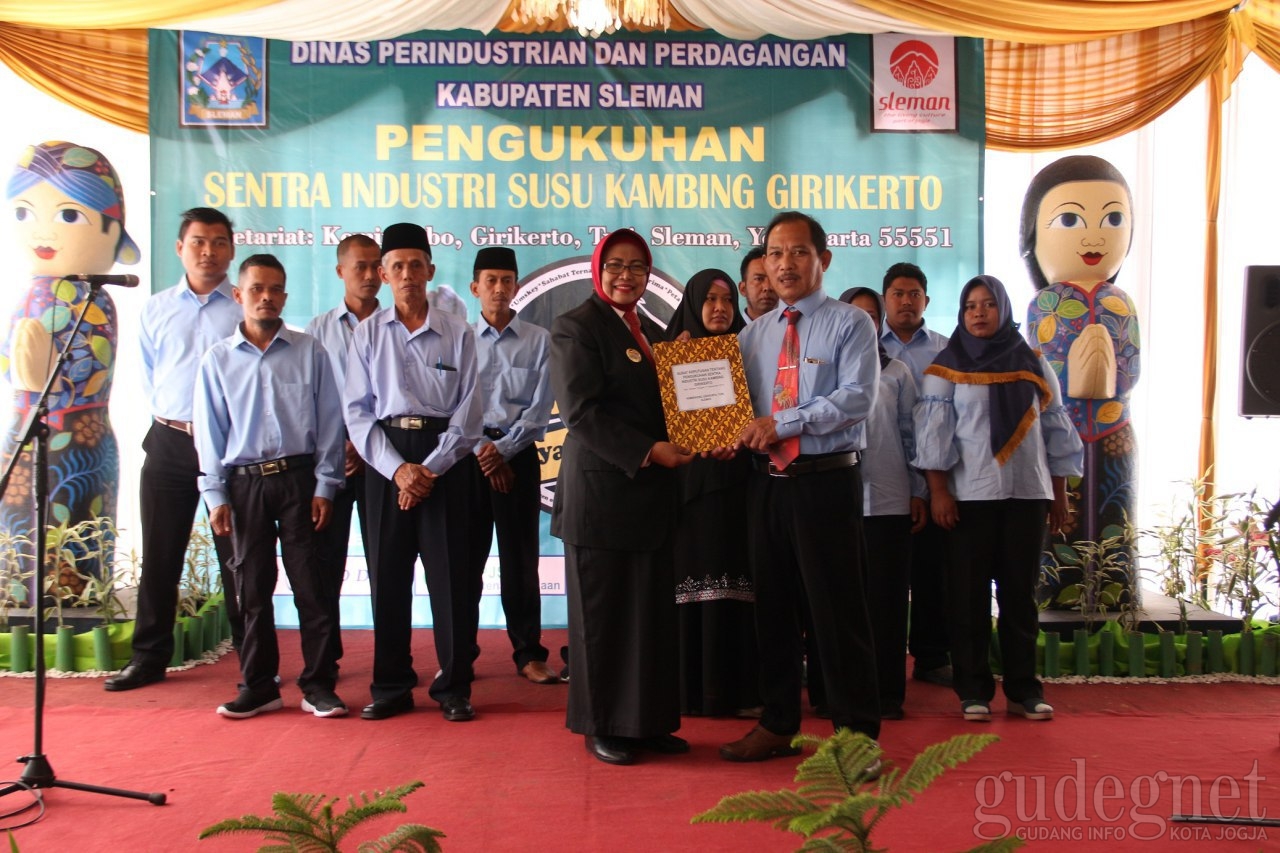 Girikerto Kini Jadi Sentra Susu Kambing