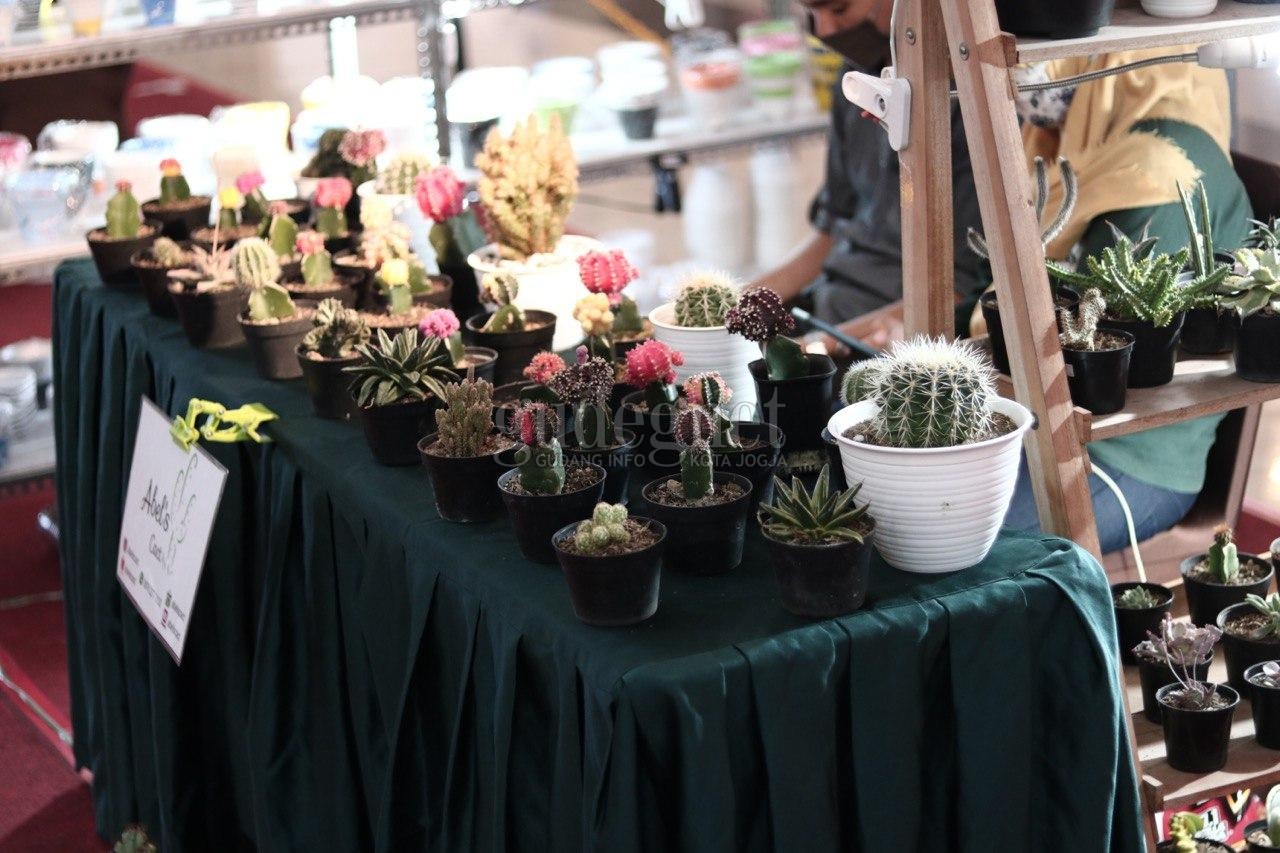‘Plant Lovers’ Hadirkan Pameran hingga Workshop Tanaman Hias