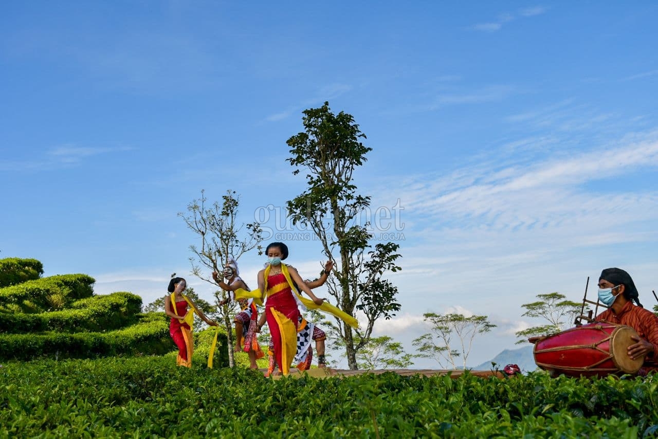 Wisata ke Nglinggo Bisa Lihat Bidadari Menari di Atas Daun Teh