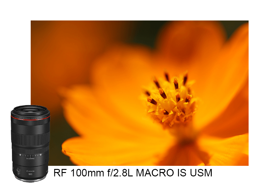 Canon Luncurkan Lensa Tele Makro RF 100 mm f/2.8L Macro IS USM
