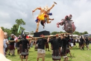 Sleman Bakal Arak Ogoh - ogoh Flora & Fauna